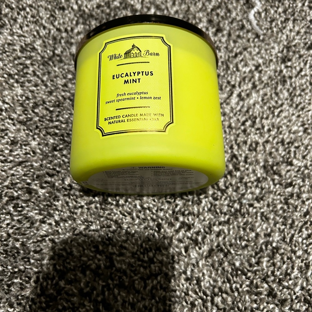 White Barn Eucalyptus Mint Candle